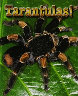 Lbd G2k Nf Tarantulas Lbd G2k Nf Tarantulas