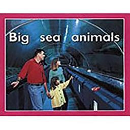 Rigby PM Plus Starters