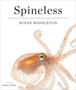 Spineless Portraits of Marine Invertebrates, the Backbone of Life  9781419710070 Front Cover
