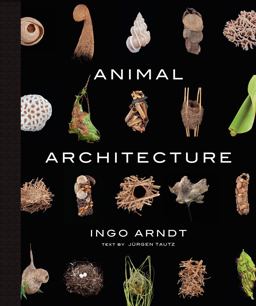 Animal Architecture Photographs of Natural Habitats  9781419711657 Front Cover