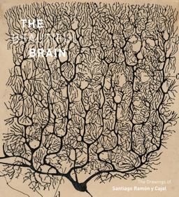 Beautiful Brain The Drawings of Santiago Ramon y Cajal  9781419722271 Front Cover