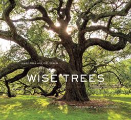 Wise Trees  9781419727009 Front Cover