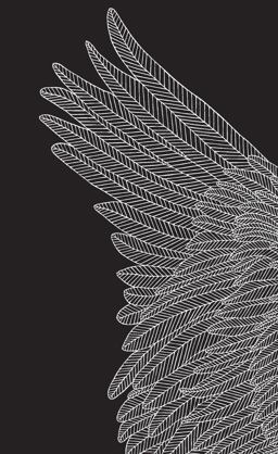 Brave Birds Journal (Hardcover)  9781419729737 Front Cover