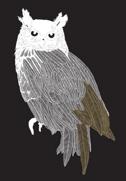 Brave Birds Notebook (Paperback)  9781419729751 Front Cover