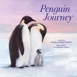 Penguin Journey Penguin Journey