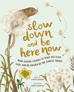 Slow down and Be Here Now