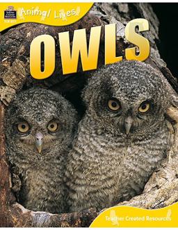 Owls