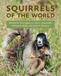 Squirrels of the World