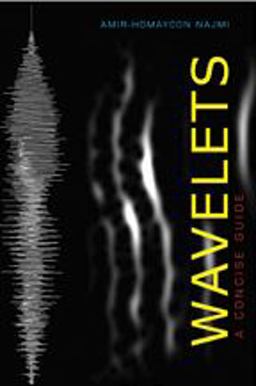 Wavelets A Concise Guide  9781421404967 Front Cover
