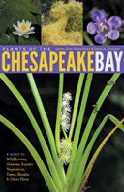 Plants of the Chesapeake Bay A Guide to Wildflowers, Grasses, Aquatic Vegetation, Trees, Shrubs, and Other Flora  9781421404981 Front Cover
