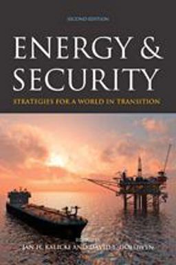 Energy and Security Strategies for a World in Transition 2nd 9781421411866 Front Cover