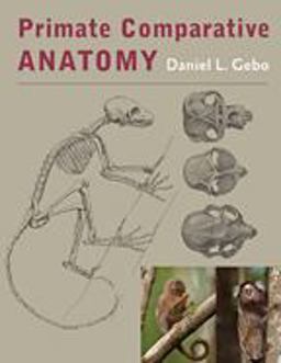 Primate Comparative Anatomy  9781421414898 Front Cover
