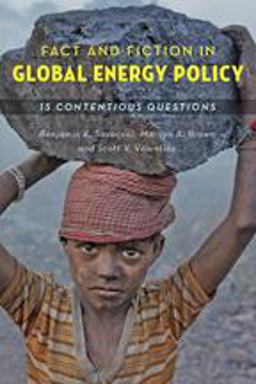 Fact and Fiction in Global Energy Policy 15 Contentious Questions  9781421418971 Front Cover