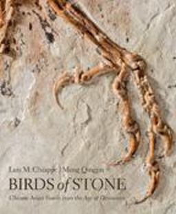 Birds of Stone Chinese Avian Fossils from the Age of Dinosaurs  9781421420240 Front Cover