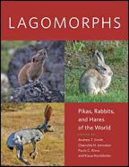Lagomorphs Pikas, Rabbits, and Hares of the World  9781421423401 Front Cover