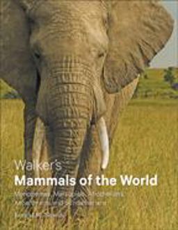 Walker's Mammals of the World Monotremes, Marsupials, Afrotherians, Xenarthrans, and Sundatherians  9781421424675 Front Cover