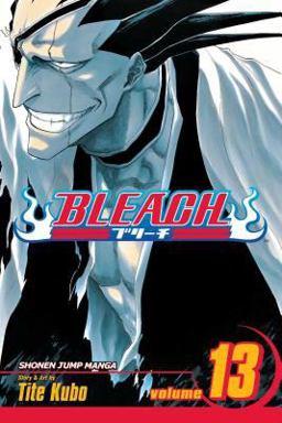 Bleach, Vol. 13  9781421506111 Front Cover