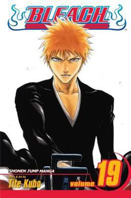 Bleach, Vol. 19 2007 9781421510439 Front Cover