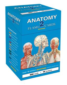 Anatomy 2 Flash Cards A QuickStudy Reference Tool  9781423232469 Front Cover