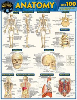 Anatomy Quizzer A QuickStudy Laminated Reference Guide 2nd 9781423244127 Front Cover