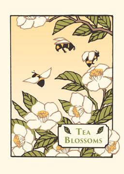 Tea Blossoms (boxed)