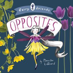 Fairy Friends: an Opposites Primer An Opposites Primer  9781423645375 Front Cover