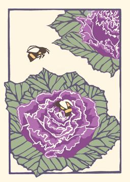 Winter Birch (Singles Set)