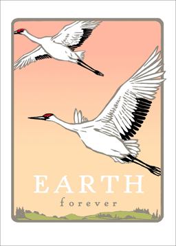 Whooping Cranes: Earth Forever
