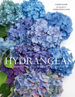 Hydrangeas Hydrangeas