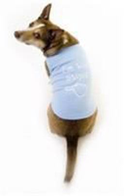 Coursenotes for MCTS Guide to Configuring Microsoft Windows Server 2008 Active Directory (exam # 70-640)