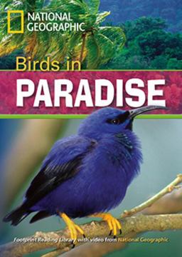 Birds in Paradise
