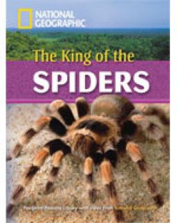 The King of the Spiders + Book with Multi-ROM