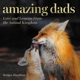 Amazing Dads Love and Lessons from the Animal Kingdom  9781426218088 Front Cover