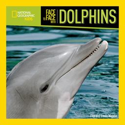 Face to Face with Dolphins  9781426305498 Front Cover