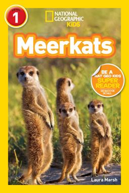 Meerkats