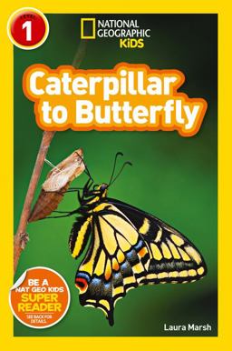 NGR Caterpillar to Butterfly (Special Sales UK Edition)