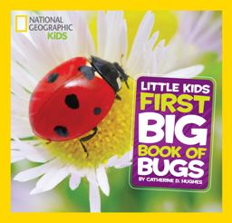 National Geographic Little Kids First Big Book of Bugs  9781426317231 Front Cover