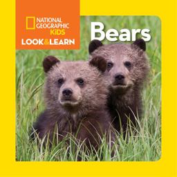 National Geographic Kids: Bears