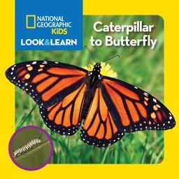National Geographic Kids Look & Learn: Caterpillar to Butterfly