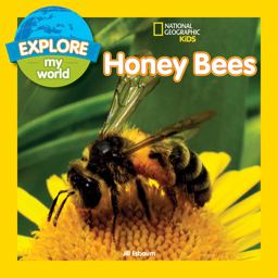 Honey Bees:  9781426327131 Front Cover