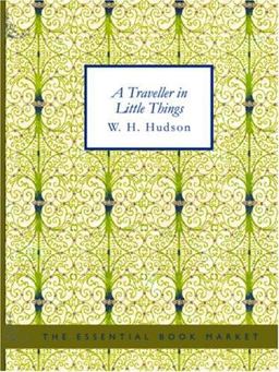 A Traveller in Little Things