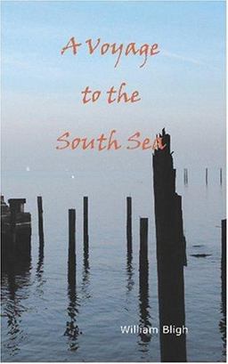 A Voyage to the South Sea