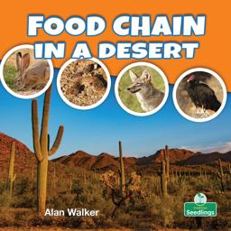 Food Chain in a Desert