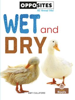 Wet and Dry