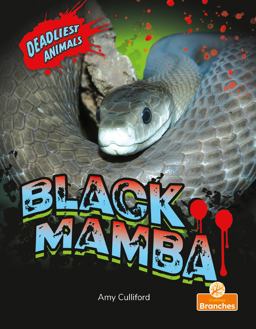 Black Mamba