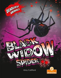 Black Widow Spider