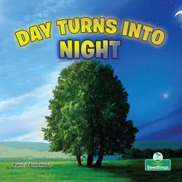 Day Turns into Night