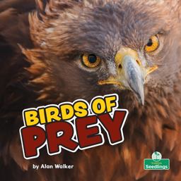 Birds of Prey