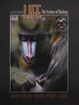 Life and Study Guide