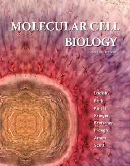 Molecular Cell Biology 7th 9781429234139 Front Cover